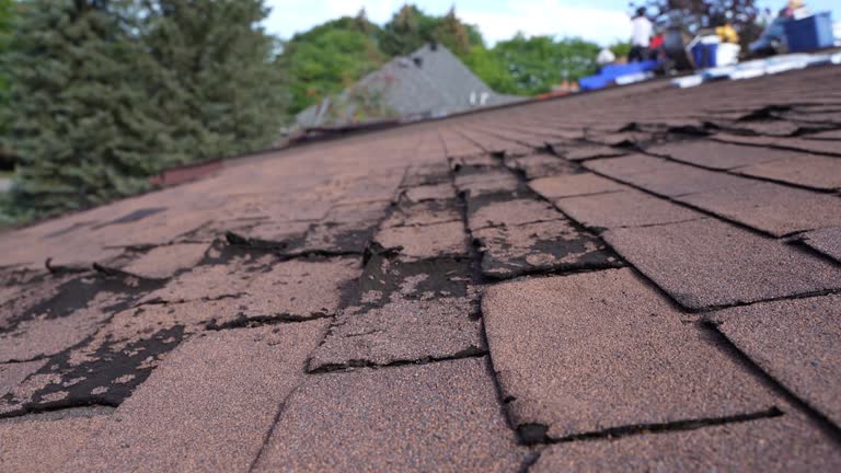 Best Solar Panel Roofing Installation  in Keyes, CA