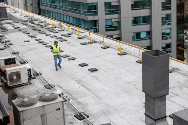 Best Roof Moss and Algae Removal  in Keyes, CA