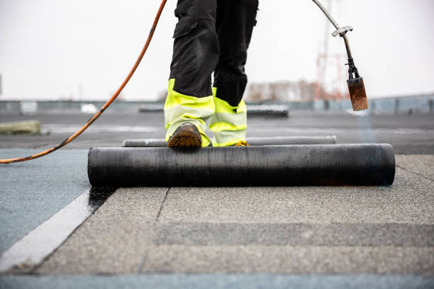Best Roof Moss and Algae Removal  in Keyes, CA